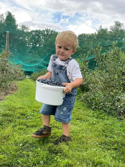 Young boy blueberry picking holding Bascom Road Farm blueberry bucket  at farm