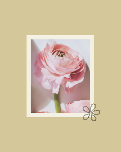 Stylish instagram template  design for a wedding florist with a focus on vibrant imagery and a feminine aesthetic.
