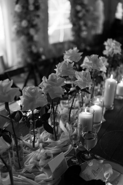 DSC00443_websize