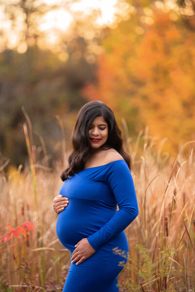Pregnant woman wearing a navy dress in a field with her hand on her belly with the golden hour sunlight coming from behind for her Fall Maternity Photography Session in Burlington, Ontario