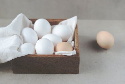all about protein for hormonal health 