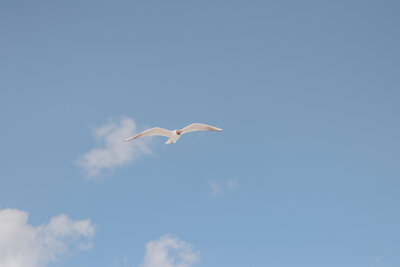 Cocktail mit Speisekarte im Restaurant LOTTA.