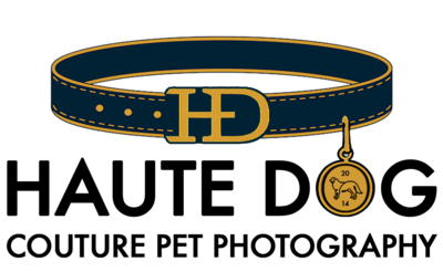 Haute Dog Pet Photography logo shaped like a dog collar with an HD buckle