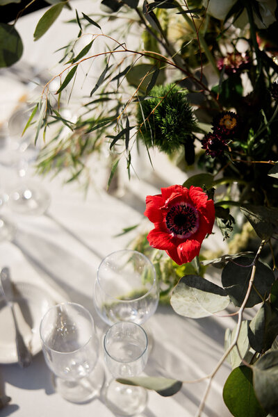 2024_Eva+Sam_MelanieRuthPhoto177