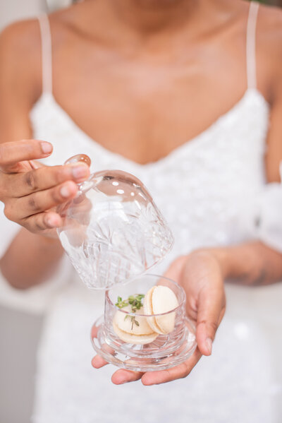Toujours Glass Cloche
