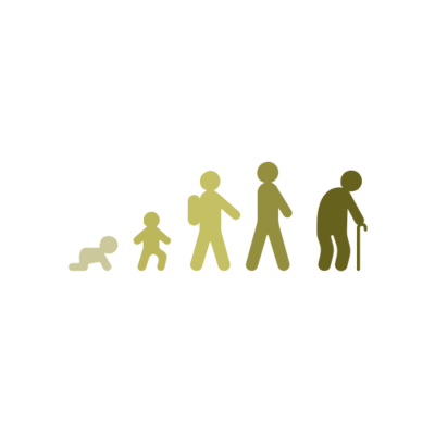 Life stages human progression icon
