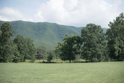 Scenic summer shot showcasing various green mountain backgrounds at the Venue at Mountain Shadow Farms, Greeneville TN