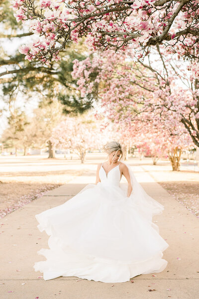 bridal session during the spring time with the cherry blossom trees downtown little rock