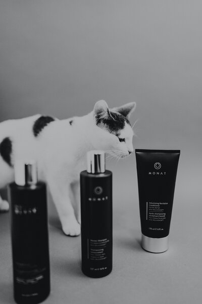 brittani-burns-ALUhM8tsuuY-unsplash