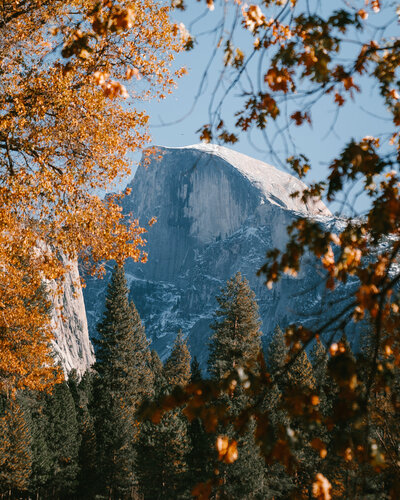 Breathtaking view of Yosemite National Park framed by vibrant autumn leaves, highlighting custom-designed luxury overland road trips