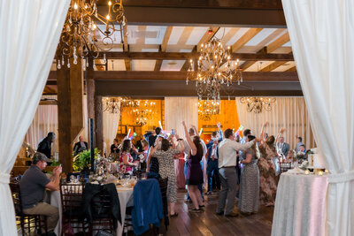 Reception-Fun_Harrisburg-Hershey-Lancaster-Wedding-Photographer_Photography-by-Erin-Leigh_0200