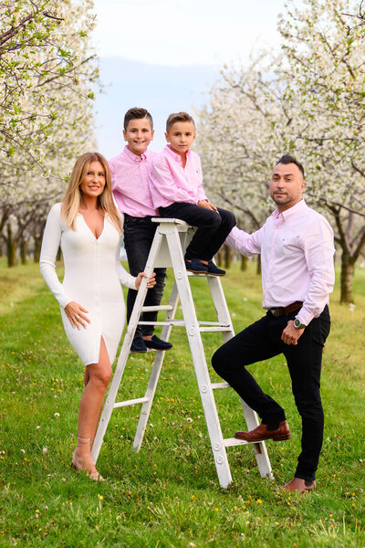 mom and dad with their two sons sitting on a ladder outdoors at the cherry blossoms for the family photos.