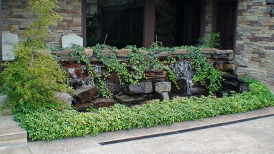 Aquascape Pond