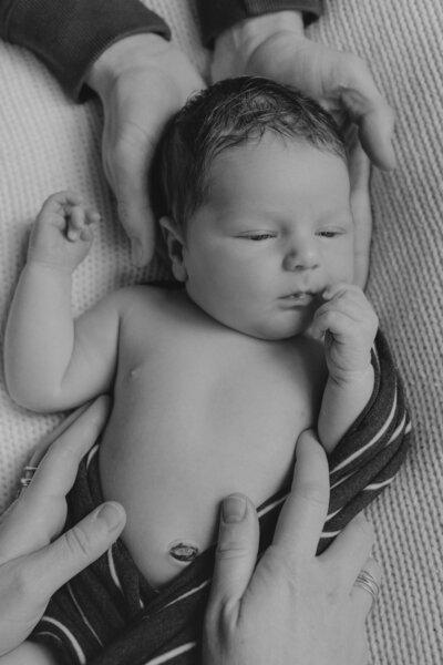 Lynch Family_Newborn 074