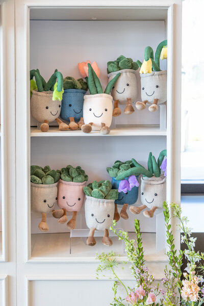 Stuffed succulent plants sitting on shelves at an event by Fancy Chancey in San Diego CA