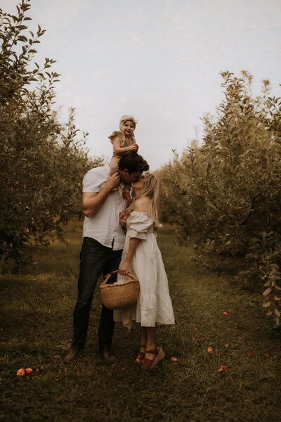 Apple orchard photos