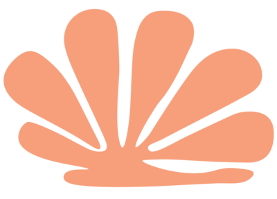 __Illustration-shell-flaming-blush