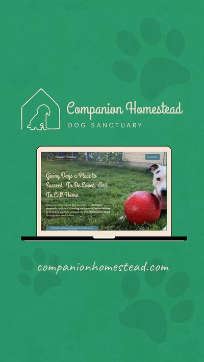 custom dog sanctuary branding design