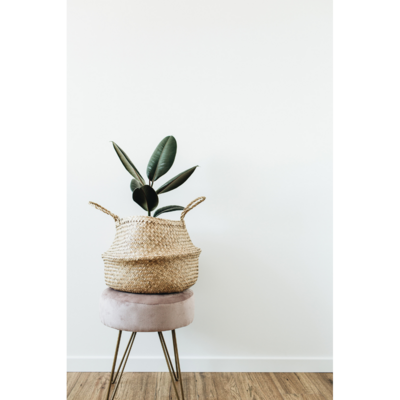 basket and plant