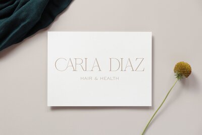 Caria Diaz Mock 2