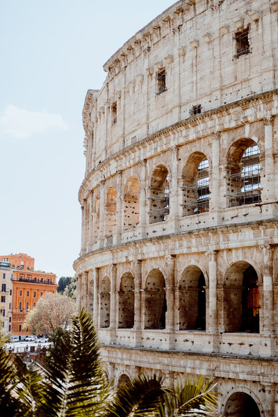 The image shows the Colosseum in Rome, Italy, bathed in sunlight. The ancient amphitheater's arches and stone facade are prominent. In the background, there are trees and a colorful building. Palm leaves are visible in the foreground.