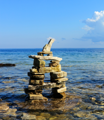 Homeopathic Detoxification/Drainage Protocol