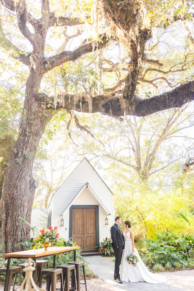 Bride and groom embrace underneath large oak tree
