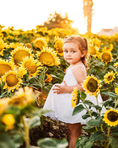 Little girl in the sunflowers