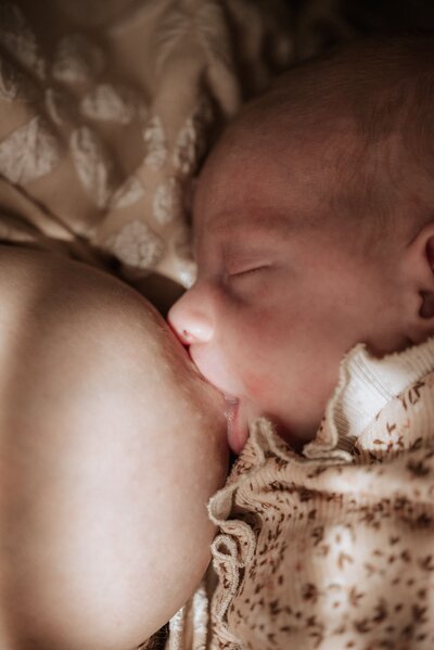 Newbornfotografie Enschede
