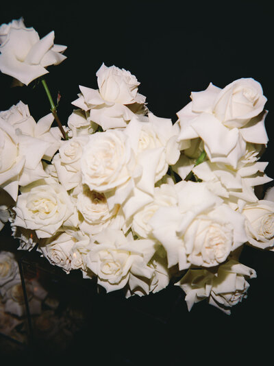 edgy, unique, creative film brand photography for florists, white roses with dark background, flash