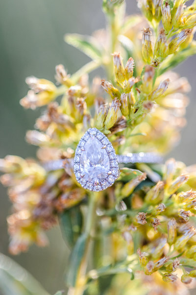 kaitlyn_ryan_engaged-0238