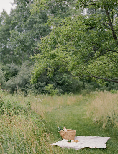 Conceptual film branding photo for Detroit Rose Smoked Tomato candle scent, straw tote, linen picnic blanket in meadow