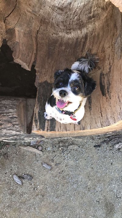 26981498_10155439796073195_965218865_o