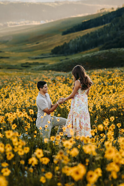 proposal in crested butte colorado during wildflower festival