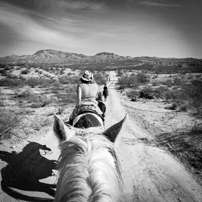 Tracy Jo Tucson Trail Ride