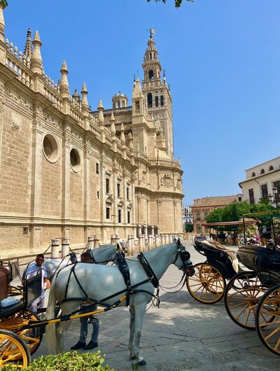 a horse drawn carriage beside a castle