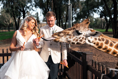 Wedding Photography in the Blue Mountains NSW