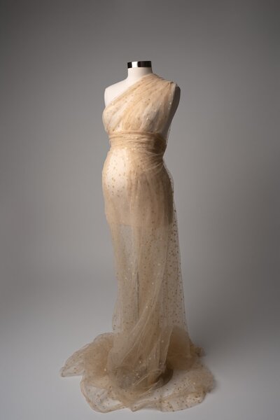Sheer gold maternity fabric with sparkles titled "Starlight Muse"