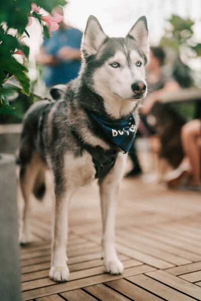 A private moment with the bride and groom held at their Majestic Gardens wedding in Rocky Point New York