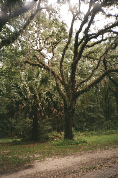 savannah georgia wedding photographer