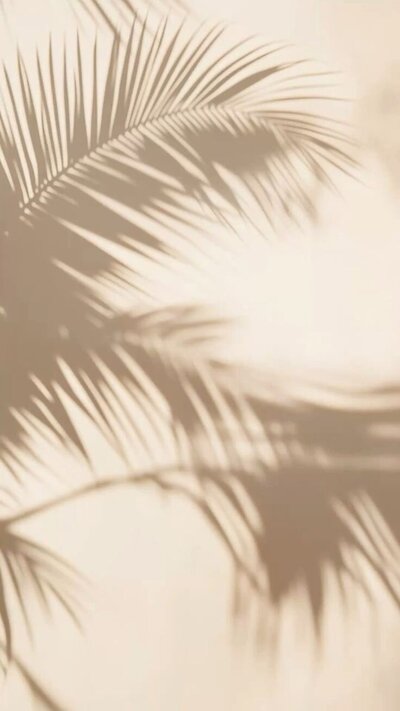 Soft beige wall with palm leaf reflections – calming aesthetic used on Karla Jane Web Design's About page.