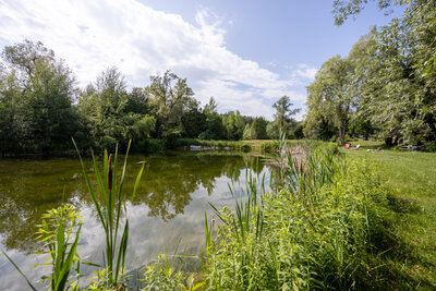 4204 Conc 8 ponds (7)