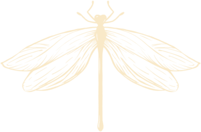 Dragonfly logo mark