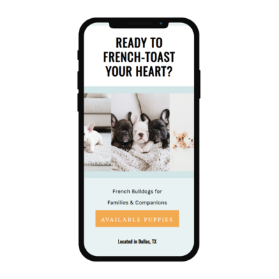 Unleashed Modern Neutral Digital Product Mobile Mockup Promotional graphic