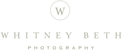 Whitney Beth Photography Wedding Engagement Portrait Photographer Minneapolis Minnesota1