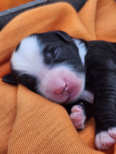 7f4a21ad-6bdb-48e6-8e1f-17e1f30a48e9