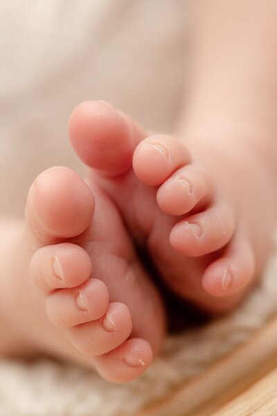 detail image of baby toes