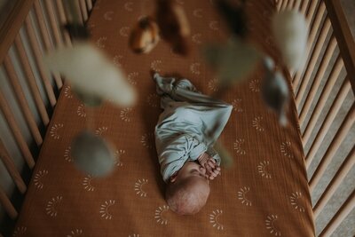Elle Newborn-108