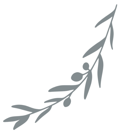 Olive Branch  decorative