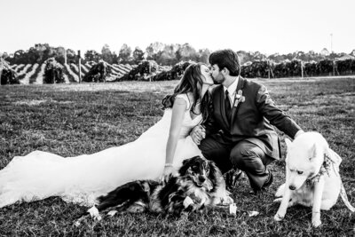 A black and white photo of Reg and Kala on their wedding day. Their sitting on the grass with their 2 dogs.